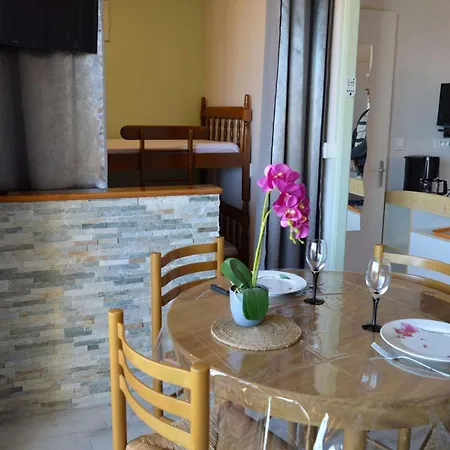 4 Pers, Proche Mer, Clim, Parking, Animaux Ok - Fr-1-225-718 Apartamento